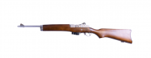 Ruger mini-14 stainless