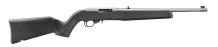 Ruger 10/22 Stainless Magpul