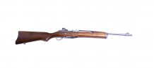Ruger mini-14ss
