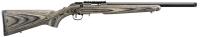 Ruger_American_Rimfire_Target_8348