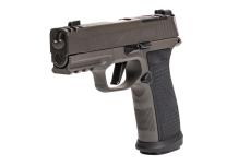 Sig-Sauer-P365-365AXGCA