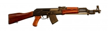 T56S