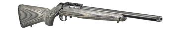 Ruger_American_Rimfire_Target_22LR_8348